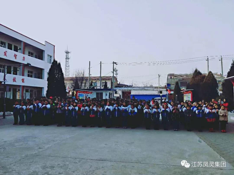 江苏凤灵乐器有限公司
